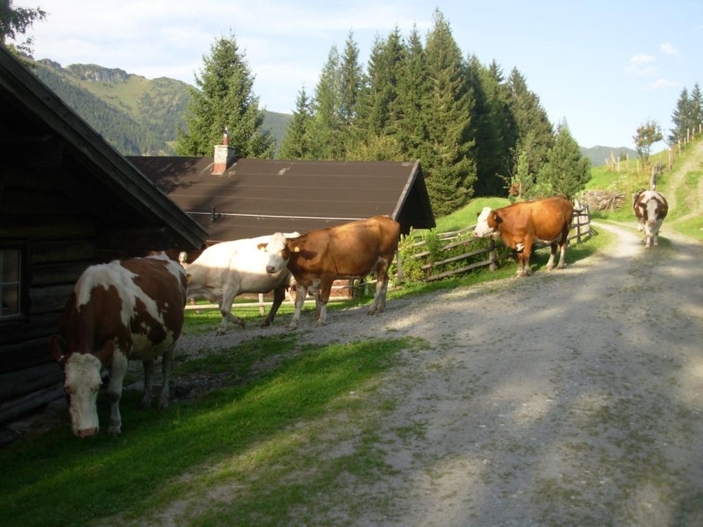 Farm stay Wandlehenhof Grossarl
