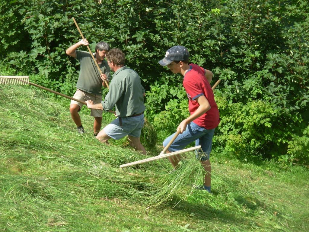 Farm stay Wandlehenhof *